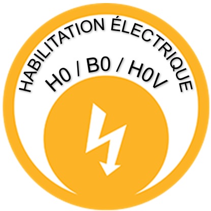 Logo H0  B0  H0V.jpg